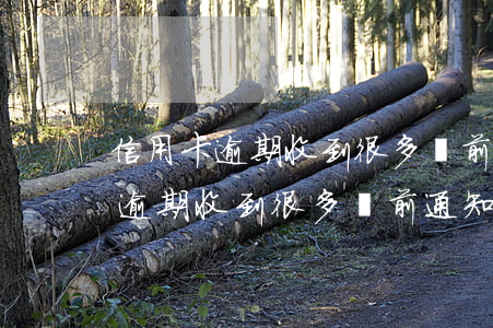 信用卡逾期收到很多訴前通知短信-信用卡逾期收到很多訴前通知短信怎么辦