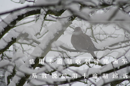 信用卡逾期收到律师函不理怎么办(有律师联系我说信用卡逾期起诉了)