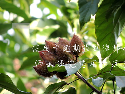 信用卡逾期收到律师函后面还会寄吗(收到律师函还完信用卡,还有不良记录吗?)