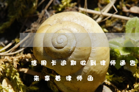 信用卡 逾期 收到 律师 通告（信用卡逾期找上门来拿着律师函）