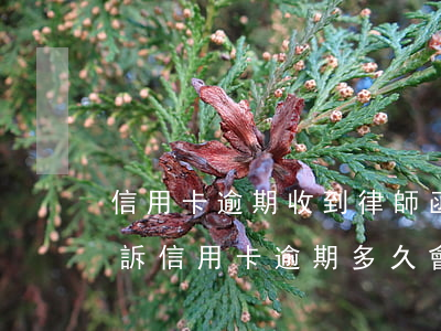 信用卡逾期收到律師函多久會(huì)起訴(“信用卡逾期多久會(huì)被起訴”)