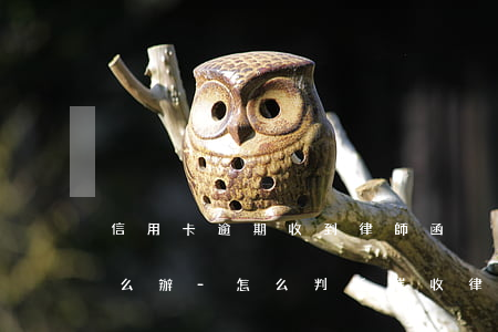 信用卡逾期收到律師函沒(méi)錢還怎么辦-怎么判斷催收律師函真假