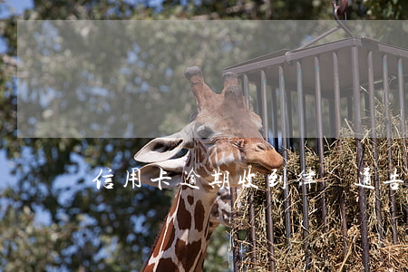信用卡 逾期 收到 律師 通告（客戶信用卡逾期糾紛）