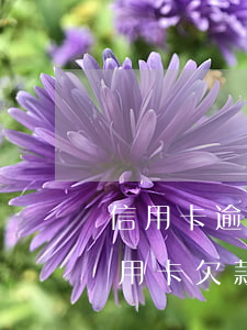 信用卡逾期收到惡意拖欠短信(詐騙短信說信用卡欠款逾期)