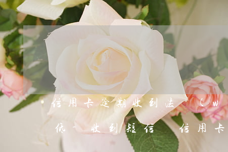 信用卡逾期收到法務(wù)通知還款了最低-收到短信說信用卡逾期,但是我已經(jīng)還了最低還款