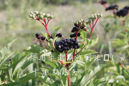 信用卡逾期收到法務(wù)通知開庭(信用卡 逾期 通知)