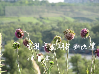 信用卡逾期收到法律傳票(信用卡逾期收到法律傳票)