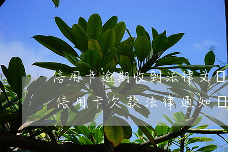 信用卡逾期收到法律文書怎么辦(收到朋友的信用卡欠款法律通知書)