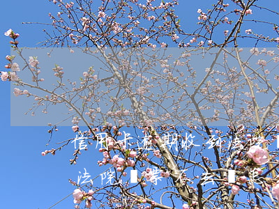 信用卡逾期收到法院傳票6(信用卡逾期收到法院傳票不去會怎么樣)