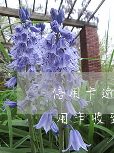 信用卡逾期收到法院傳票后會怎樣(欠銀行信用卡收到傳票會怎樣)