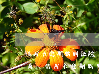 信用卡逾期收到法院傳票如何協(xié)商-信用卡逾期收到法院傳票如何協(xié)商還款