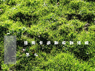 信用卡逾期收到法院傳票模板(逾期收到傳票怎么辦)