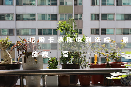 信用卡逾期收到法院傳票沒去開庭(逾期接到法院傳票)