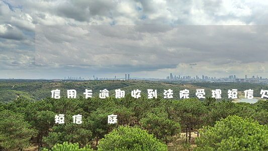 信用卡逾期收到法院受理短信(欠信用卡收到短信開庭)
