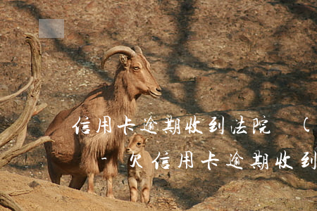 信用卡逾期收到法院執(zhí)行單怎么辦-欠信用卡逾期收到法院傳票怎么辦