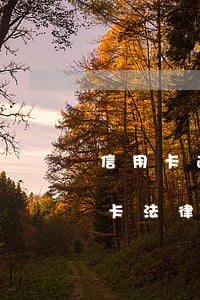 信用卡逾期收到法院文書怎么辦(收到了信用卡法律文書)