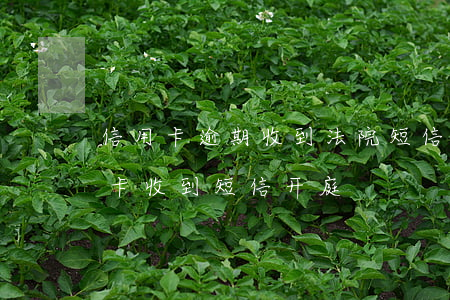 信用卡逾期收到法院短信简易程序-欠信用卡收到短信开庭
