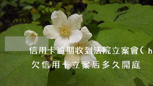 信用卡逾期收到法院立案會(huì)怎樣(欠信用卡立案后多久開庭)