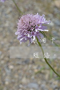 信用卡逾期收到法院視頻調(diào)解短信-信用卡逾期收到法院視頻調(diào)解短信是真的嗎