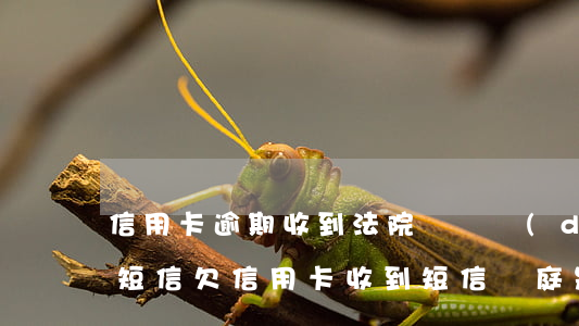 信用卡逾期收到法院視頻調(diào)解短信 欠信用卡收到短信開庭是真的嗎