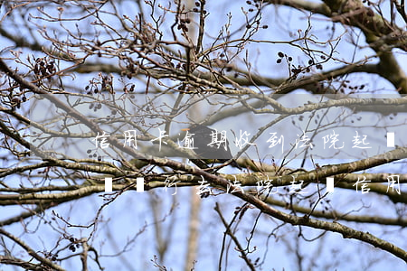 信用卡逾期收到法院起訴書(shū)怎么辦(銀行去法院起訴信用卡逾期怎么辦)