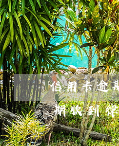 信用卡逾期收到法院通知是真的嗎(信用卡 逾期 收到 律師 通告)