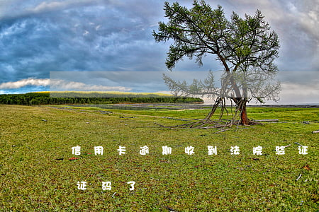 信用卡逾期收到法院验证码(收不到信用卡验证码了)