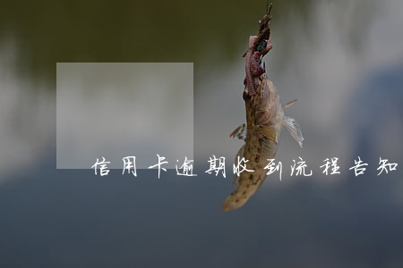 信用卡逾期收到流程告知 信用卡 逾期 通知