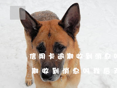 信用卡逾期收到消息叫我后天開庭 信用卡逾期收到消息叫我后天開庭怎么辦