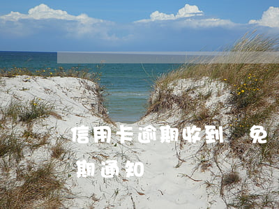 信用卡逾期收到減免郵件(郵箱收到信用卡逾期通知)
