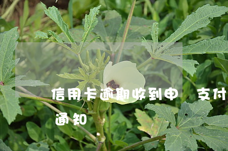 信用卡逾期收到申請支付令短信(信用卡 逾期 通知)