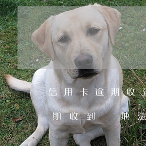 信用卡逾期收到異地法院通知書了（信用卡逾期收到異地法院通知書了）