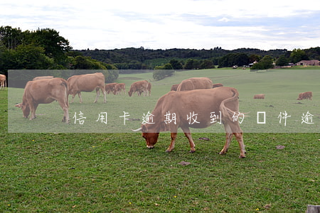 信用卡逾期收到的郵件(逾期郵政信件)