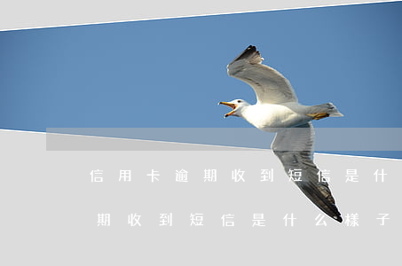 信用卡逾期收到短信是什么樣子的(信用卡逾期收到短信是什么樣子的圖片)