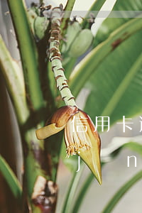 信用卡逾期收到短信說(shuō)已經(jīng)立案-信用卡逾期收到短信說(shuō)已經(jīng)立案是真的嗎