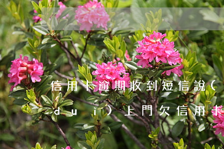 信用卡逾期收到短信說(shuō)帶隊(duì)上門(欠信用卡會(huì)上門走訪嗎)