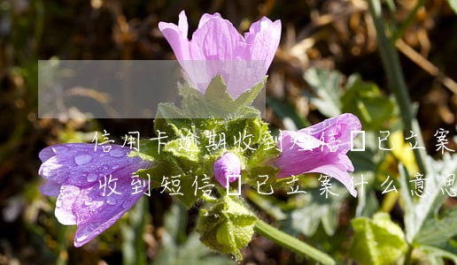 信用卡逾期收到短信說已立案-信用卡逾期收到短信說已立案什么意思