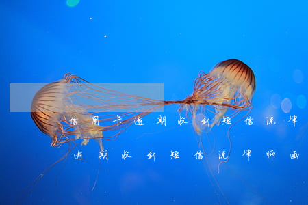 信用卡逾期收到短信说律师函已发-信用卡逾期收到短信说律师函已发送