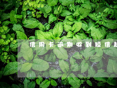 信用卡逾期收到短信起訴是真的嗎