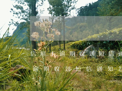 信用卡逾期收到短信通知怎么處理-信用卡逾期收到短信通知怎么處理呢