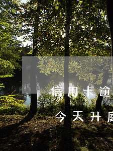 信用卡逾期收到立案开庭短信 逾期收到短信今天开庭
