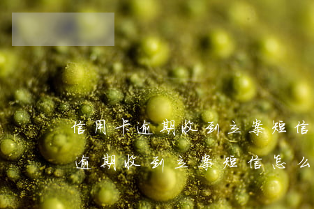 信用卡逾期收到立案短信怎么處理-信用卡逾期收到立案短信怎么處理呢