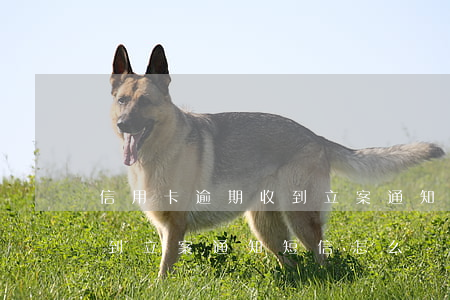 信用卡逾期收到立案通知短信(信用卡逾期收到立案通知短信怎么辦)