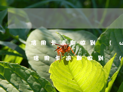 信用卡逾期收到網(wǎng)上法庭短信(信用卡逾期收到網(wǎng)上法庭短信)