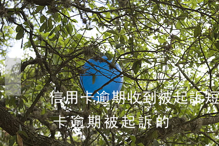 信用卡逾期收到被起訴短信真假(有沒有信用卡逾期被起訴的)