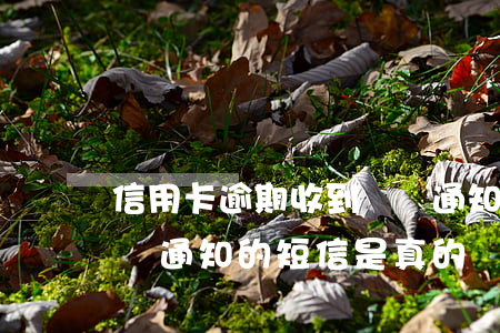 信用卡逾期收到訴訟通知(信用卡逾期收到訴訟通知的短信是真的嗎)