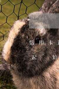 信用卡逾期收到起訴短息(信用卡逾期收到被起訴短信)