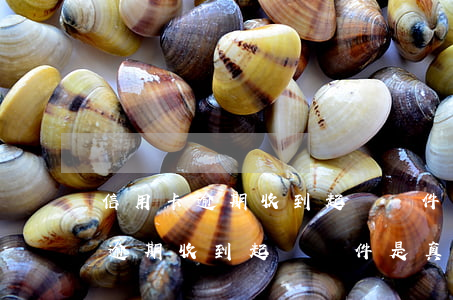 信用卡逾期收到起訴郵件是真的嗎-信用卡逾期收到起訴郵件是真的嗎嗎