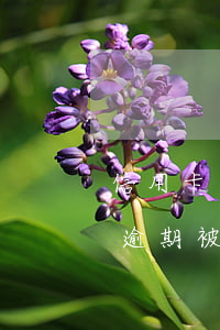 信用卡逾期收到起诉通知(收到短信说信用卡逾期被起诉)