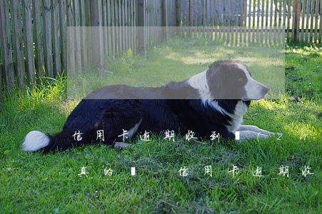 信用卡逾期收到轉(zhuǎn)告信息是真的嗎-信用卡逾期收到轉(zhuǎn)告信息是真的嗎嗎